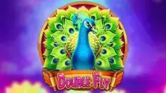 Double Fly