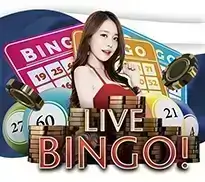 Live Bingo!